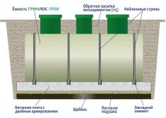 ГРИНЛОС Пром 100